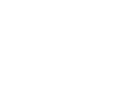 Classic Ford Chassis